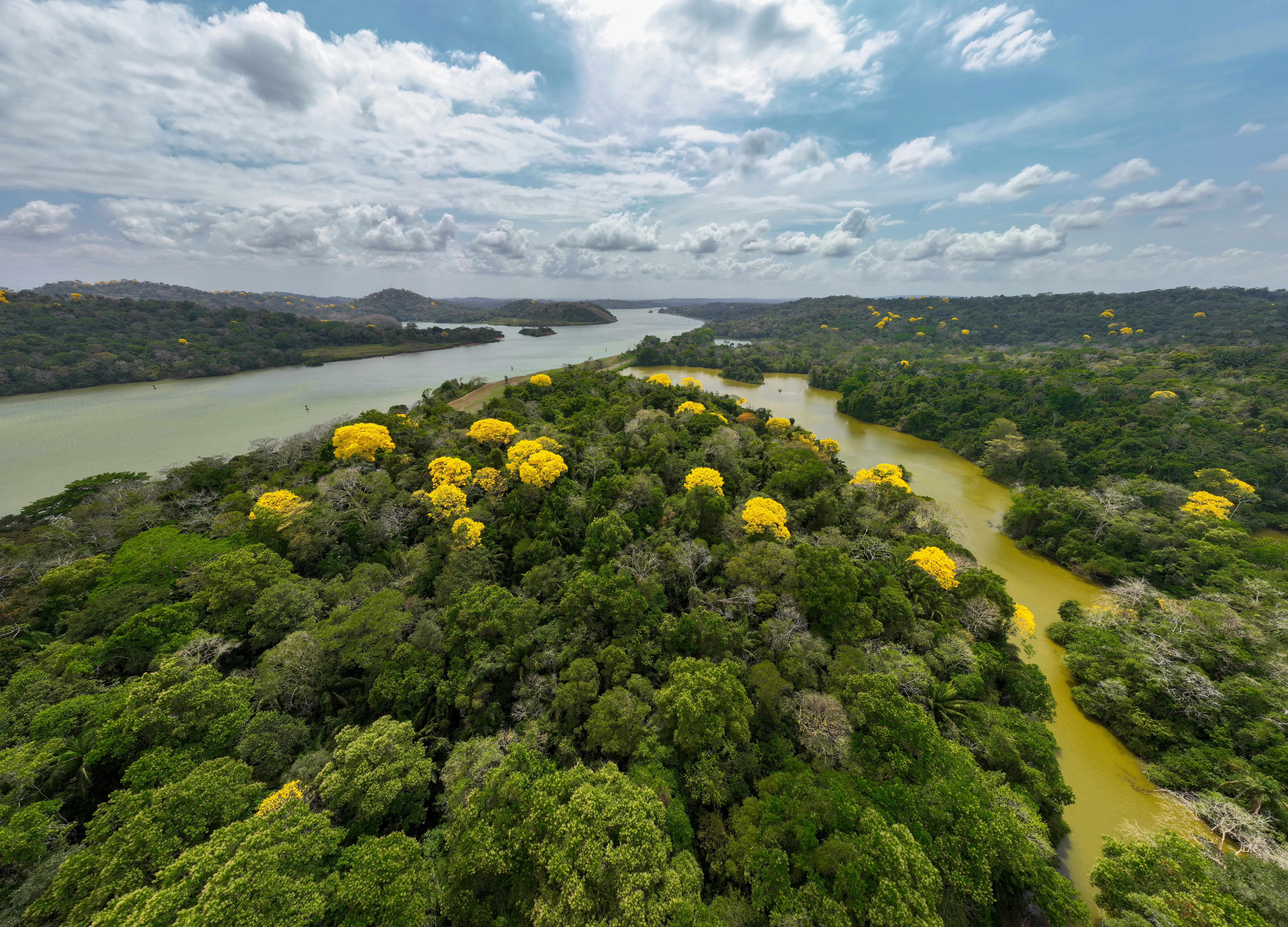Biblioteca de la CICH