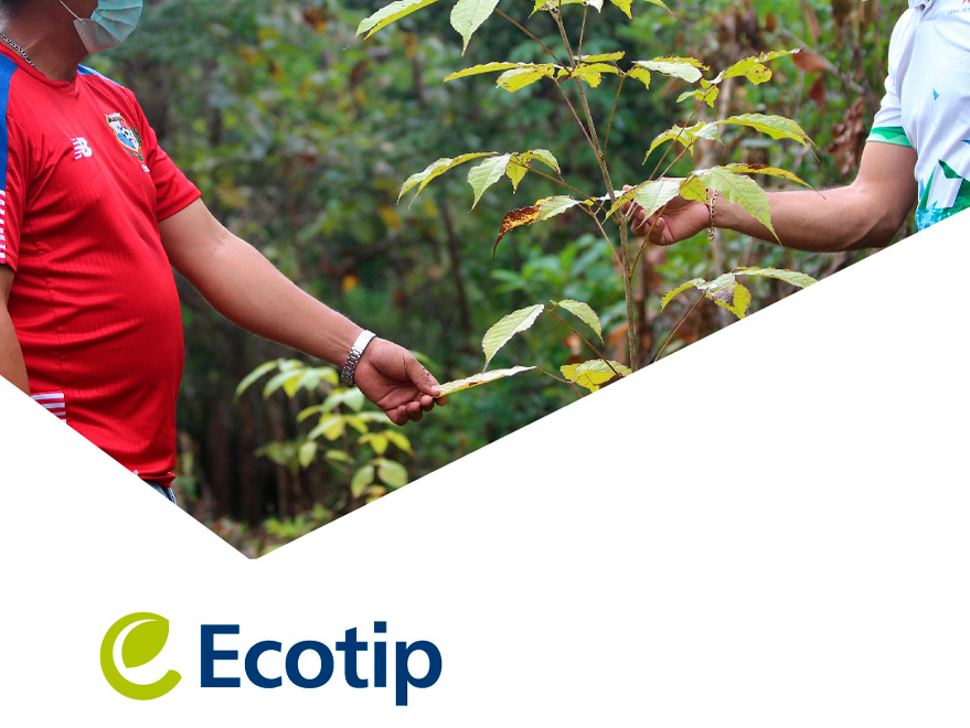 Canal de Panamá 2023