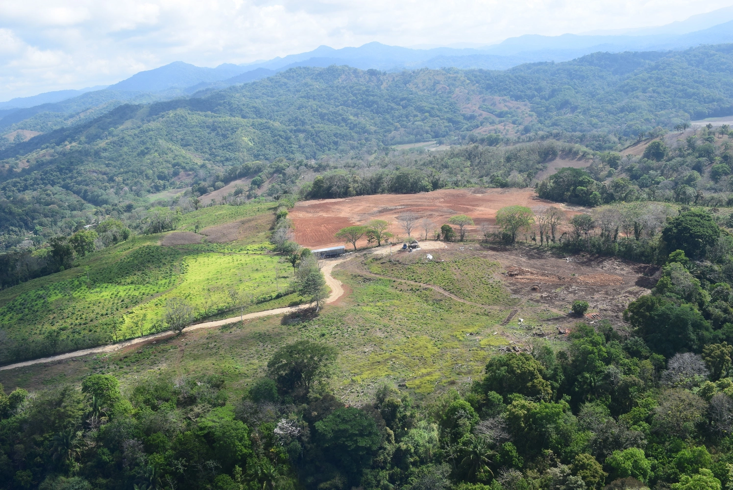 Pérdida de biodiversidad y sedimentos