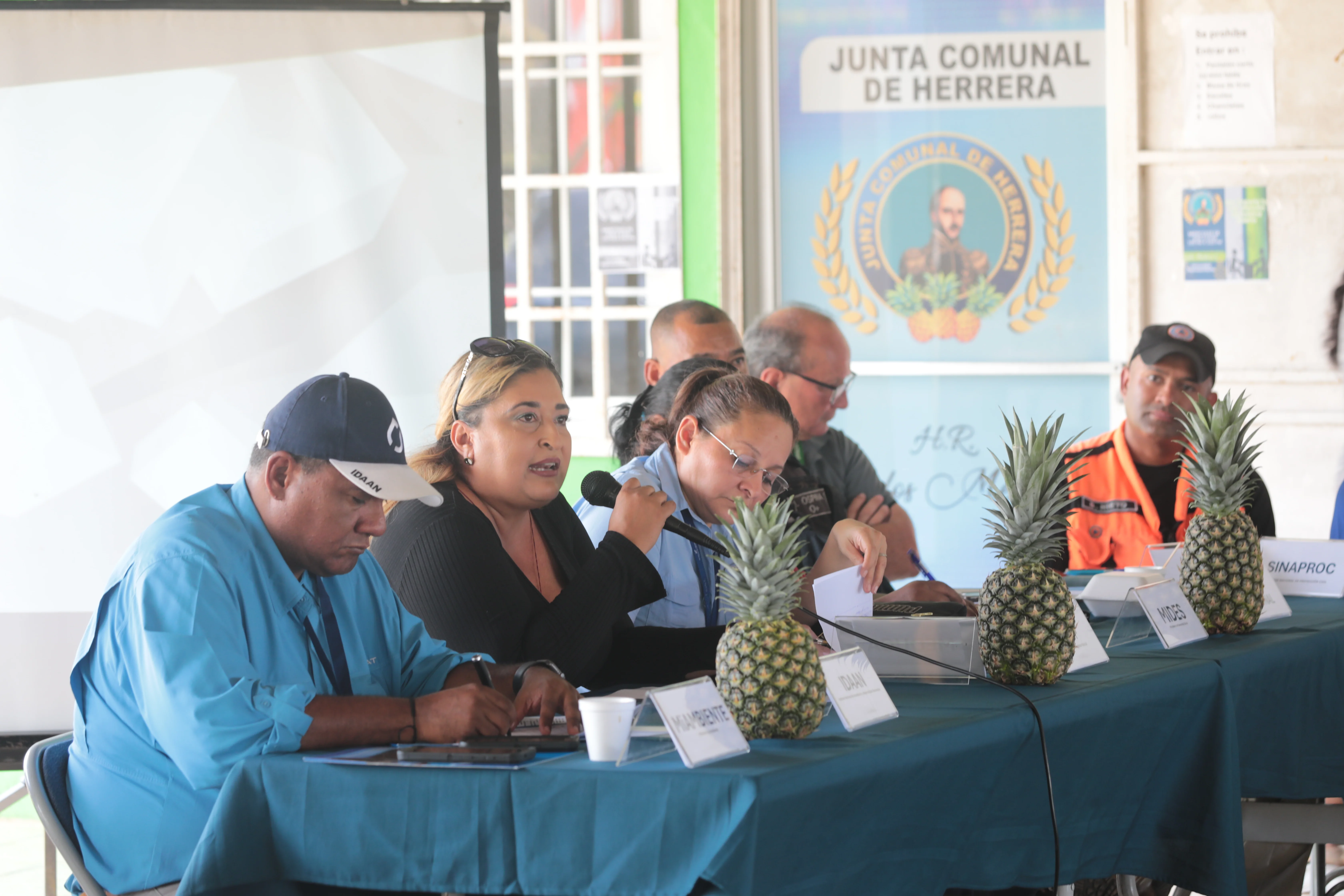 Comités sectoriales