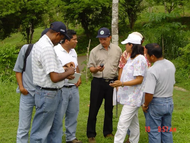 Gestión del conocimiento